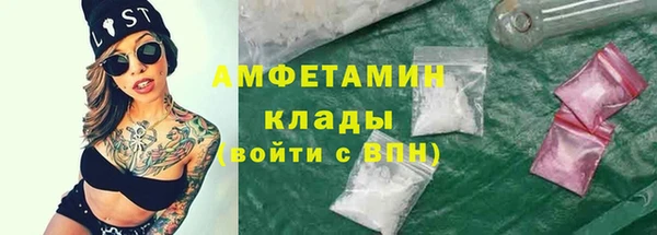 стафф Аркадак