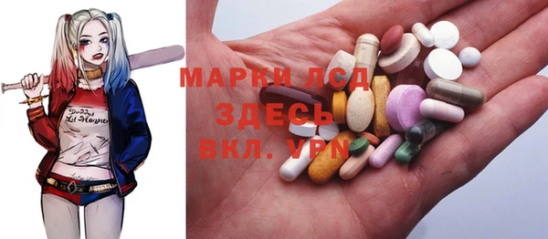 стафф Аркадак