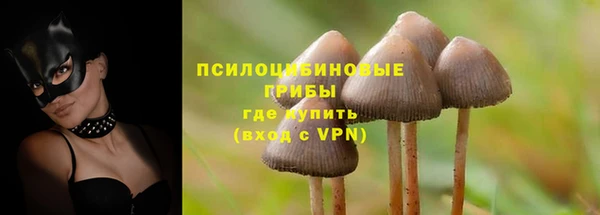 молекула духа Пролетарск
