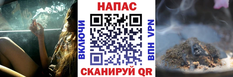 Каннабис ГИДРОПОН Зубцов